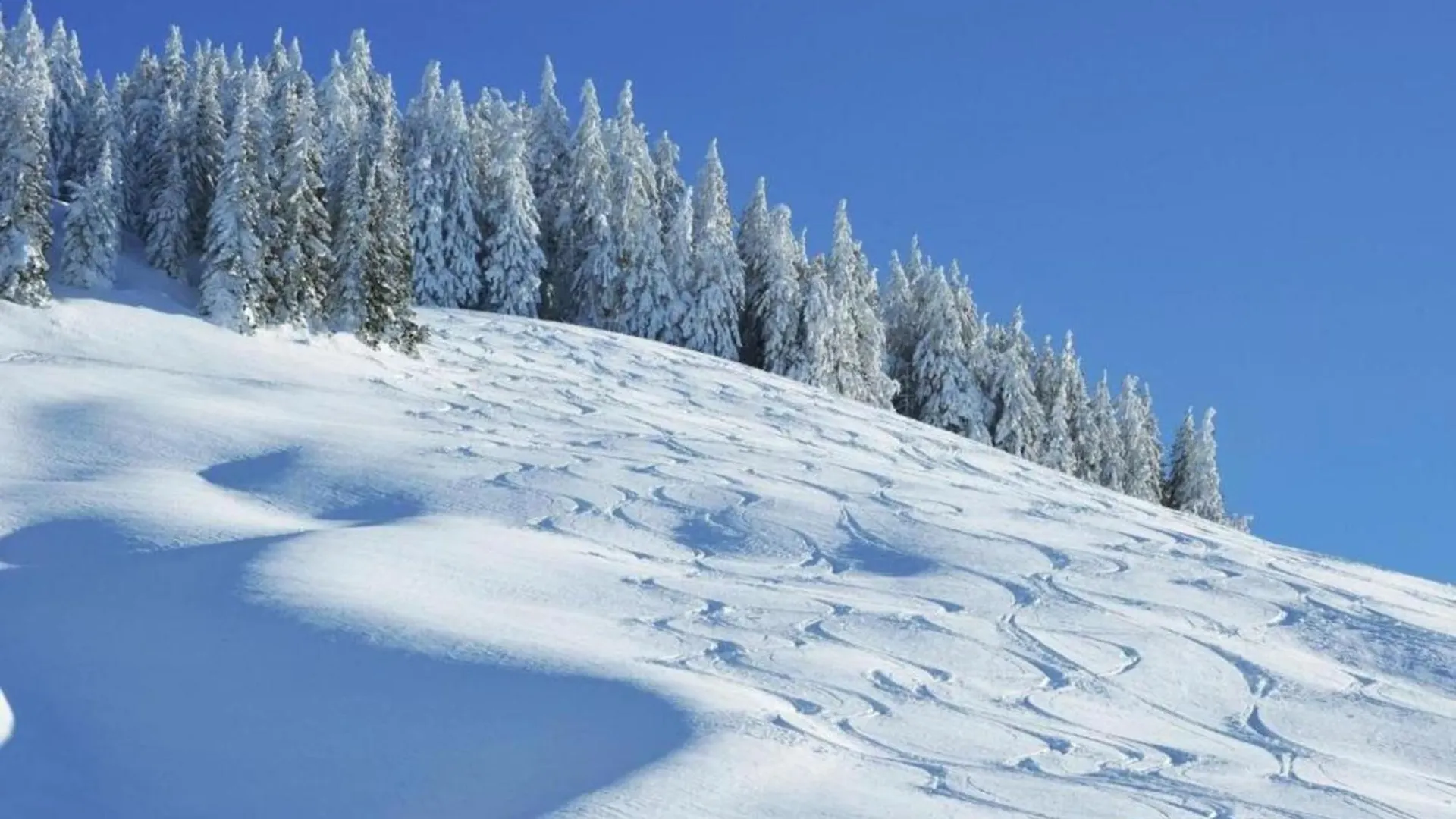 Chalet In Ski Area In Saalbach-Hinterglemm